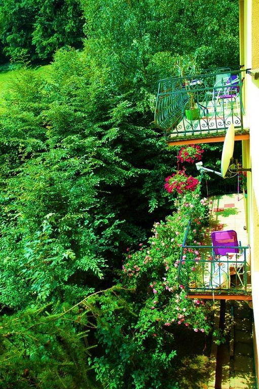 Raj Muszyna Apartamenty Z Widokiem Na Panorame Gorska Esterno foto
